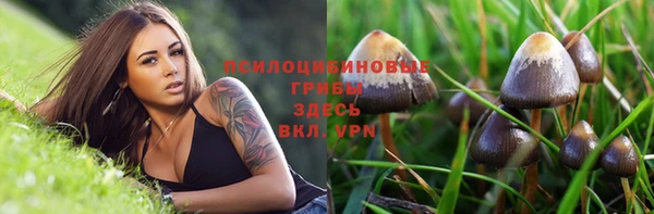 мяу мяу мука Алексин