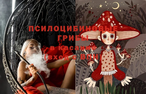 стаф Абдулино