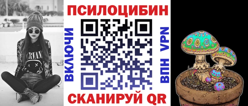 Галлюциногенные грибы Psilocybe  Ковдор 